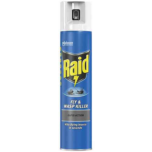 Raid Fly & Wasp Killer 300ml